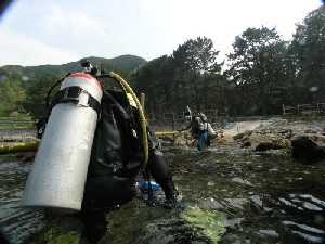 c0063673_1711240.jpg