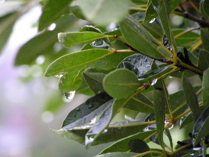d0032693_2053735.jpg