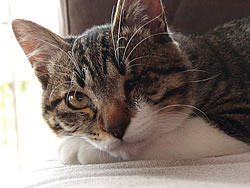 c0035001_2143385.jpg