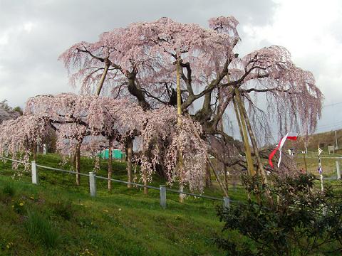 c0051105_026397.jpg