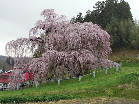 c0051105_0265646.jpg