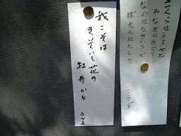 c0019617_1291491.jpg