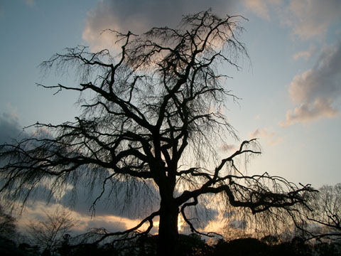 d0019226_2332224.jpg