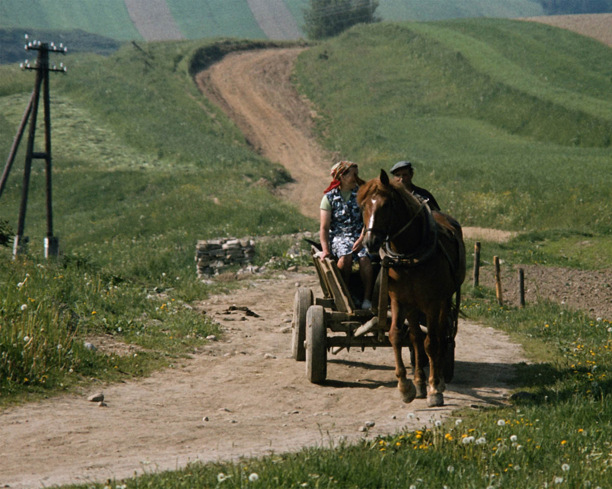 b0022138_94524100.jpg
