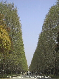c0046340_22385085.jpg