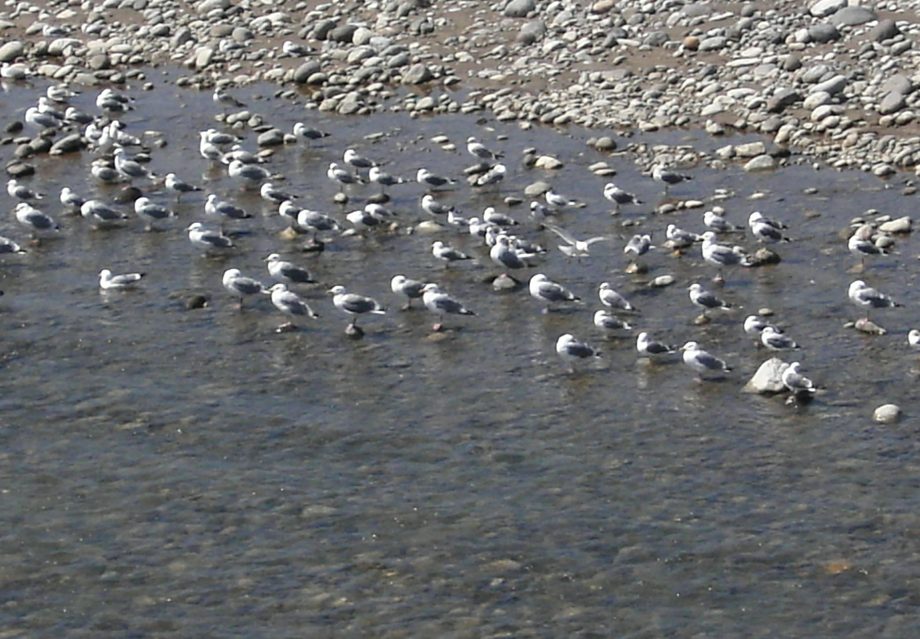 c0026846_1540675.jpg