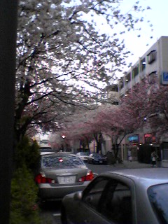 c0029455_0515027.jpg