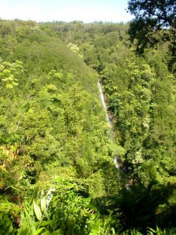 b0001980_4544240.jpg