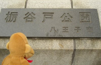 b0066786_14181059.jpg