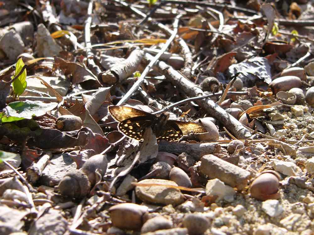 c0062511_1927435.jpg