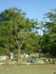c0072734_19303350.jpg