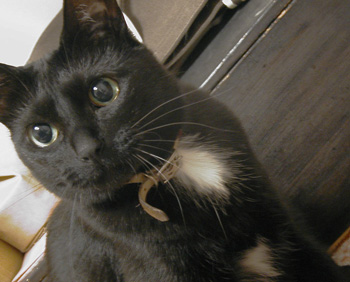c0048042_13865.jpg