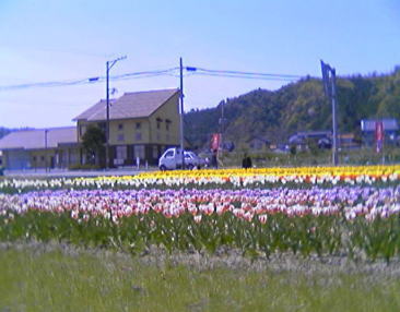 c0059543_16143973.jpg