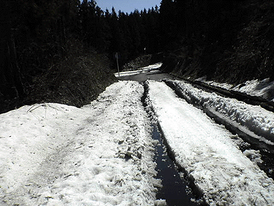 a0026445_1819822.gif