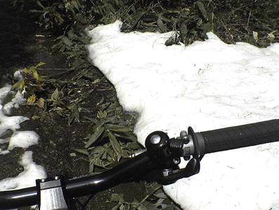 a0026445_18213229.gif