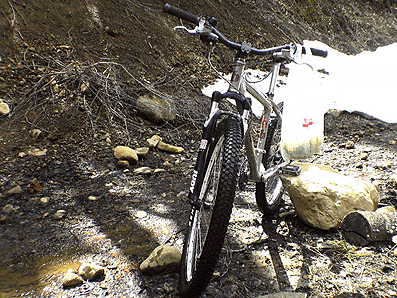 a0026445_18284728.gif