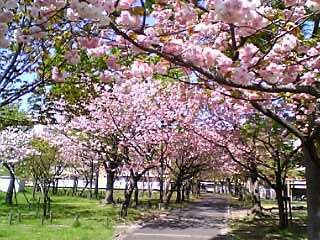 b0032346_17141756.jpg