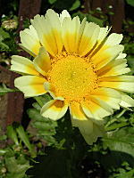 a0011451_23361362.jpg