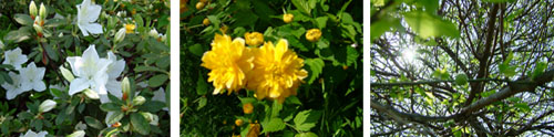 c0032567_20395368.jpg