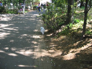 b0060071_2011336.jpg
