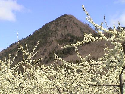 b0011185_19535549.jpg