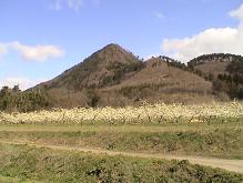 b0011185_19543170.jpg