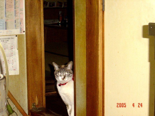 a0005691_5183675.jpg