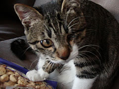 c0035001_17415578.jpg