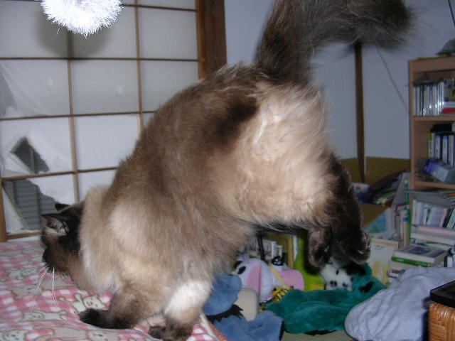b0054904_2302512.jpg