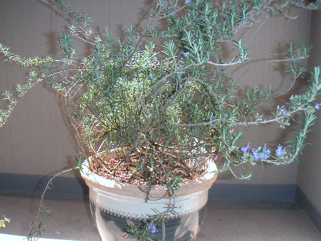 c0056008_23484973.jpg