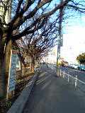 b0057825_1124123.jpg