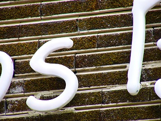 b0009029_2162295.jpg