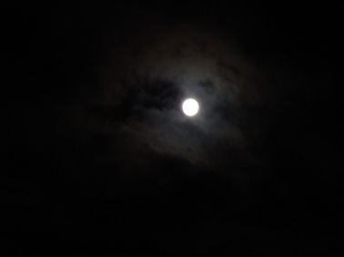 c0000134_18382539.jpg