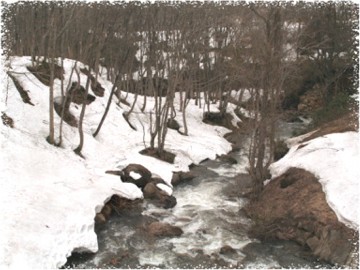 d0012134_1752269.jpg