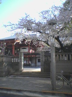 b0017950_0221497.jpg