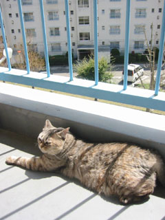 c0003752_010987.jpg