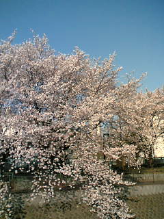c0062954_21122669.jpg