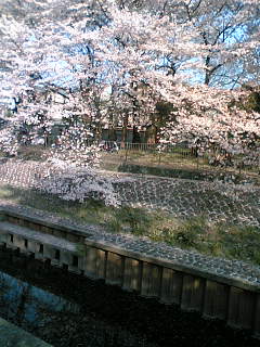 c0062954_21163297.jpg