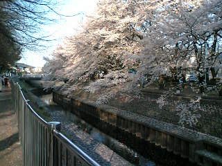 c0062954_213193.jpg