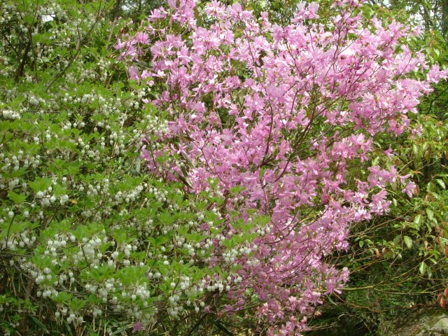 b0055171_23162829.jpg