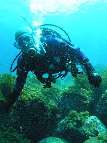c0063673_21123961.jpg