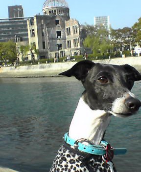 c0020681_1592056.jpg