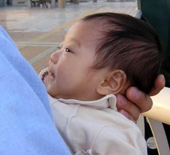 b0061588_14262270.jpg