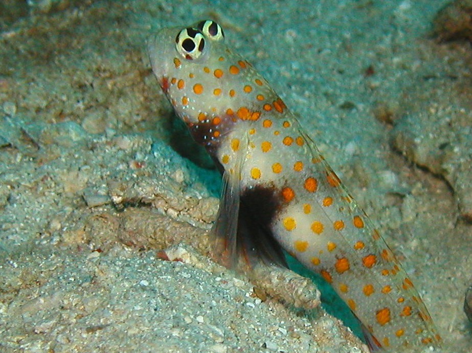 d0034291_214109.jpg