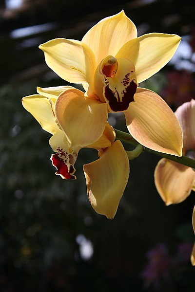 c0023993_7444466.jpg