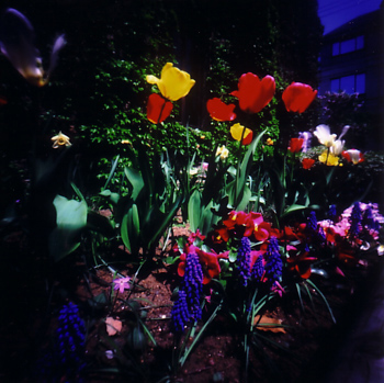 c0016712_16473690.jpg