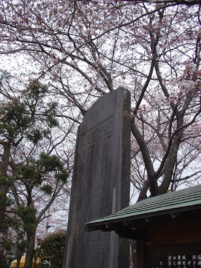 c0000718_947657.jpg