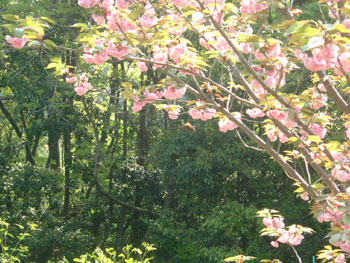 b0058229_1103543.jpg
