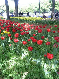 a0013134_2365793.jpg