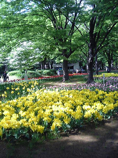 a0013134_2372335.jpg